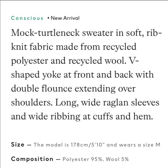 H&M BLOGGERS FAVORITE RUFFLED SWEATER π¦ - Picture 12 of 12